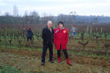 vignoble-boudon